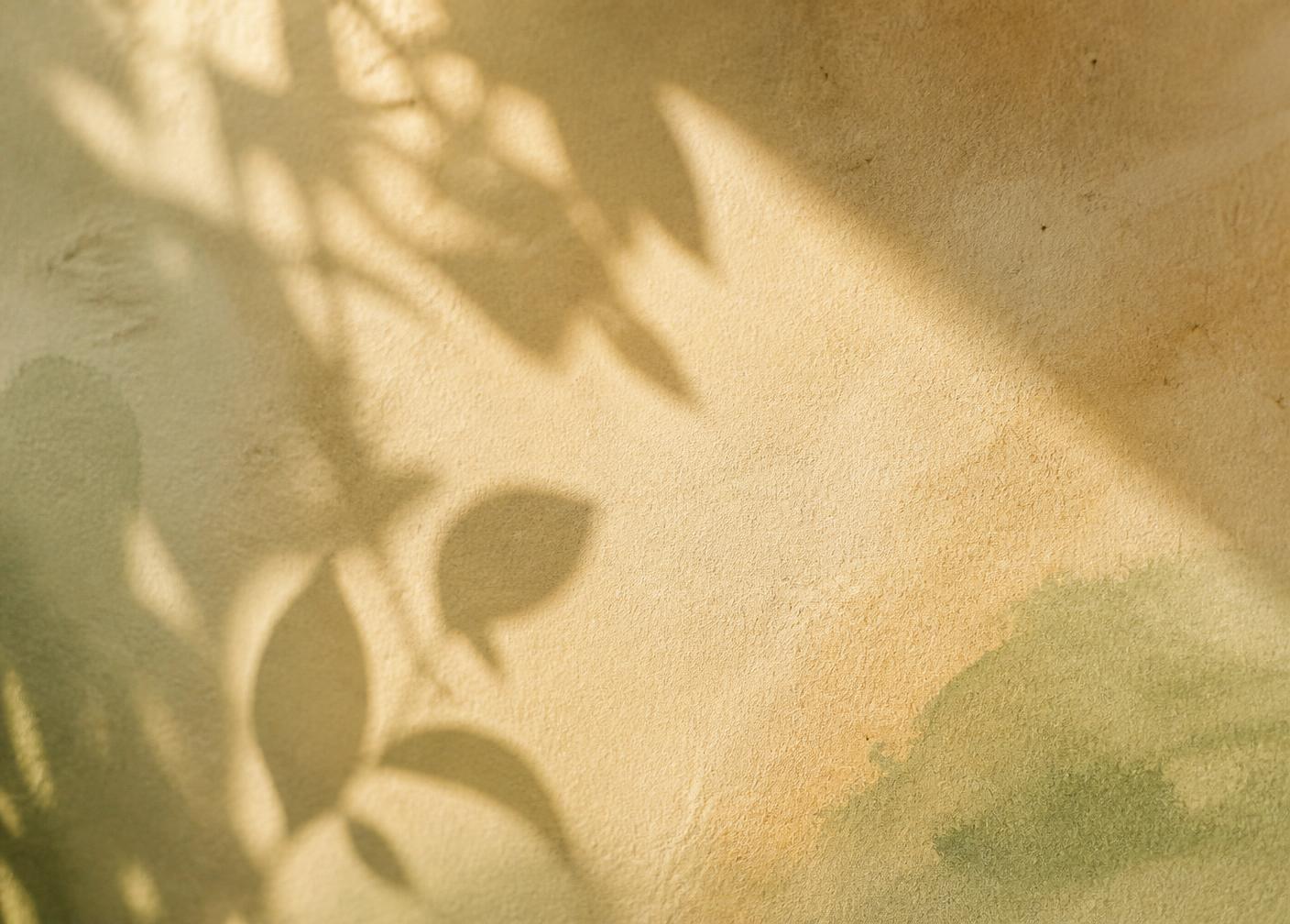 Soft leaf shadows falling across warm textured paper